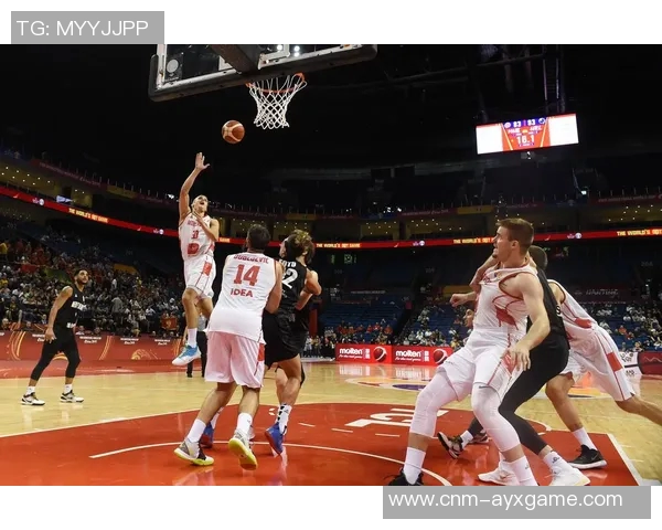 蓝队与新西兰精彩对决回放全程回顾与分析