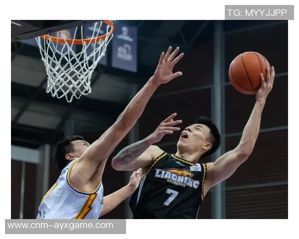 辽宁对阵北控精彩直播全程回顾与赛后分析尽在这里